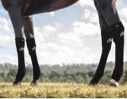 EQUINE SEAMLESS COMPRESSION SOCK BLACK