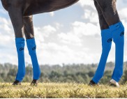 EQUINE SEAMLESS COMPRESSION SOCK BLUE