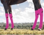 EQUINE SEAMLESS COMPRESSION SOCK MAGENTA