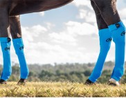 EQUINE SEAMLESS COMPRESSION SOCK TURQUOISE