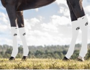 EQUINE SEAMLESS COMPRESSION SOCK WHITE