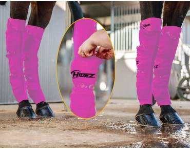  MAGENTA