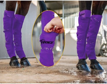 PURPLE PURPLE