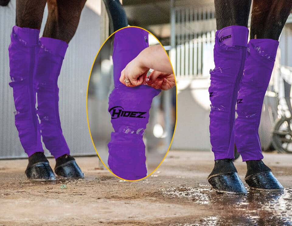 EQUINE SEAMLESS ICE COMPRESSION SOCK PURPLE