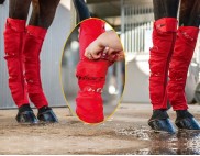 EQUINE SEAMLESS ICE COMPRESSION SOCK RED