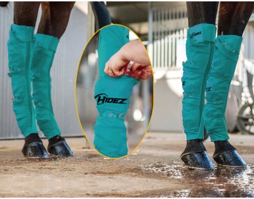 TURQUOISE TURQUOISE