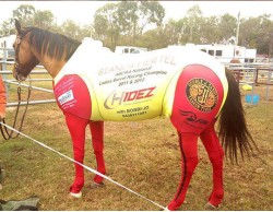 CUSTOM SUIT BARREL RACING N