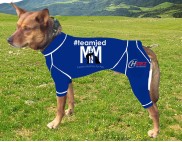 CANINE COMPRESSION ANXIETY SUIT KELPIE