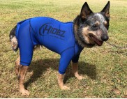 CANINE COMPRESSION ANXIETY SUIT BLUE