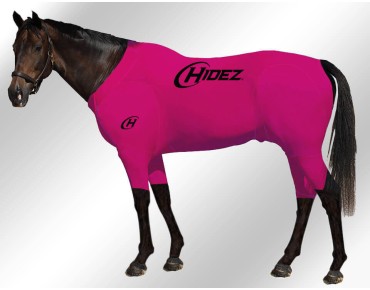 FUCHSIA FUCHSIA