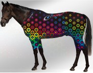 EQUINE ACTIVE  SUIT PRINTED BULLSEYE