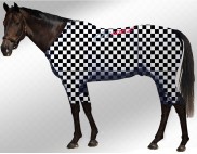 EQUINE ACTIVE  SUIT PRINTED CHECKERED