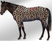 EQUINE ACTIVE  SUIT PRINTED CHEETAH