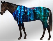 EQUINE ACTIVE  SUIT PRINTED NIGHT ROCKS