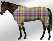 EQUINE ACTIVE  SUIT PRINTED RAINBOW