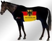 EQUINE-ACTIVE-SUIT-PRINTED-GERMANY-SUIT-2