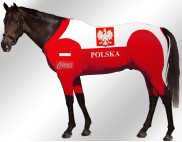 EQUINE-ACTIVE-SUIT-PRINTED-POLAND