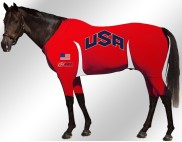 EQUINE-ACTIVE-SUIT-PRINTED-USA-