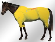 EQUINE-ACTIVE-SUIT-PRINTED-YELLOW-