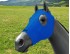 EQUINE COMPRESSION HOOD BLUE