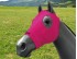 EQUINE COMPRESSION HOOD FUCHSIA