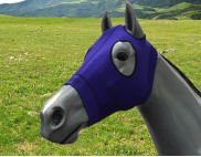 EQUINE COMPRESSION HOOD PURPLE