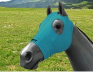 EQUINE COMPRESSION HOOD TURQUOISE