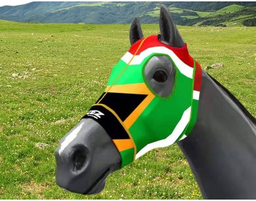 SOUTH AFRICA