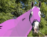 EQUINE COMPRESSION NECK LAVENDER