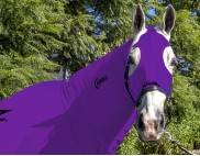 EQUINE COMPRESSION NECK PURPLE