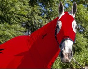 EQUINE COMPRESSION NECK RED