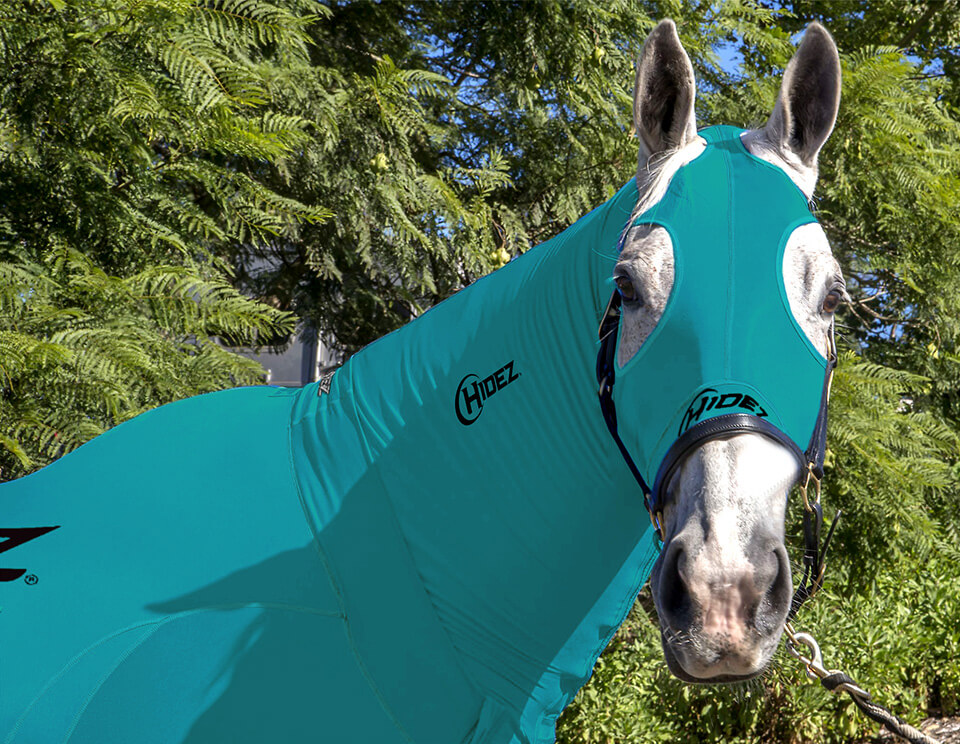 EQUINE COMPRESSION NECK TURQUOISE