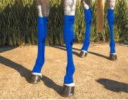 EQUINE COMPRESSION SOCK BLUE