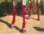 EQUINE COMPRESSION SOCK FUCHSIA