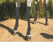 EQUINE COMPRESSION SOCK GREY