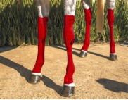 EQUINE COMPRESSION SOCK RED