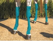 EQUINE COMPRESSION SOCK TURQUOISE