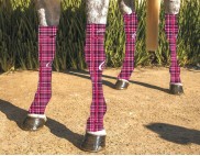 EQUINE COMPRESSION SOCK PRINTED TARTAN PINK