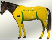 EQUINE SUIT PRINTED AUSTRALIA