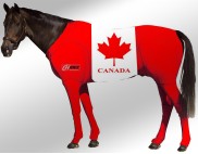 EQUINE SUIT PRINTED CANADA