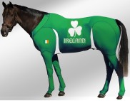 EQUINE SUIT PRINTED IRELAND