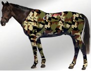 EQUINE SUIT PRINTED CAMO ARMY