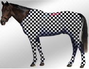 EQUINE SUIT PRINTED CHECKERED