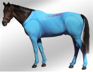 EQUINE SUIT PRINTED TURQUOISE