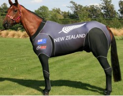 QUALITY INVASION NZ 