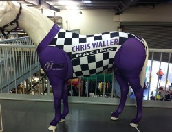 WALL CHIRIS WALLER RACING STABLES