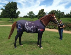  CUSTOM SUIT SUNDALE STUD BLACK SUIT