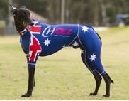 RACING-SUIT-PRINTED-AUSTRALIA