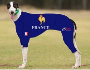 RACING-SUIT-PRINTED-FRANCE