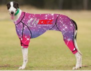RACING-SUIT-PRINTED-GLITTER